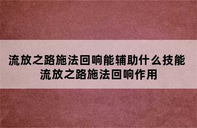 流放之路施法回响能辅助什么技能 流放之路施法回响作用